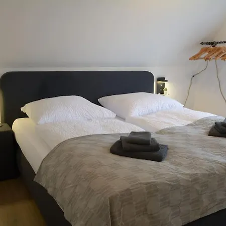 Kiebitznuest In * Emden