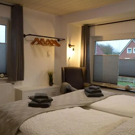 Kiebitznuest In Emden