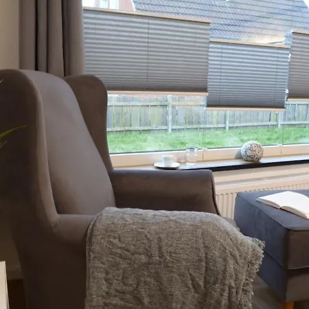 Kiebitznuest In Emden